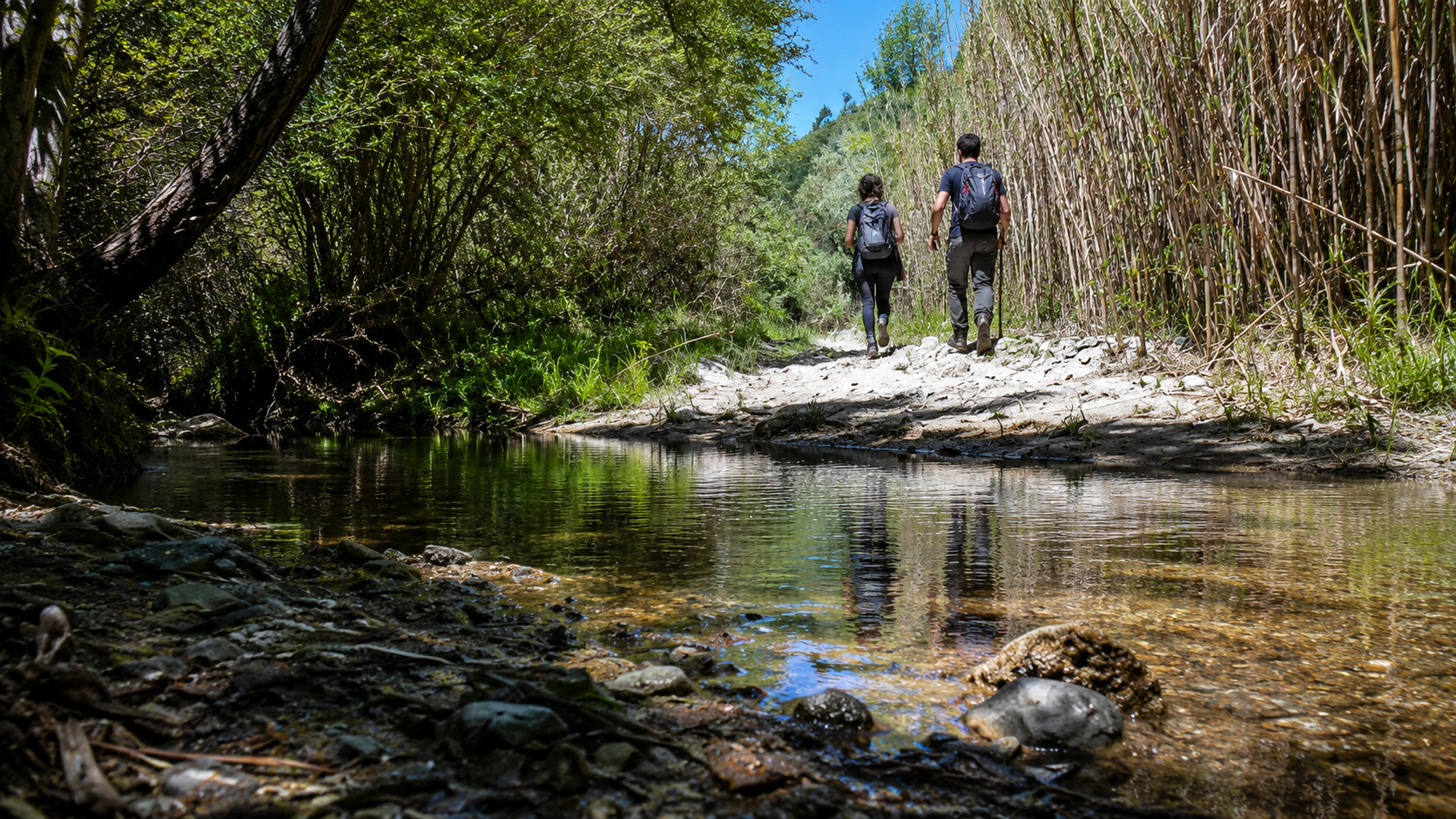 Trekking con conoscitore del territorio